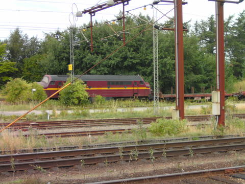 ringsted 2010 019